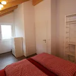 Haus Seltschach בית נופש