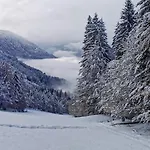 Haus Seltschach ארנולדשטיין